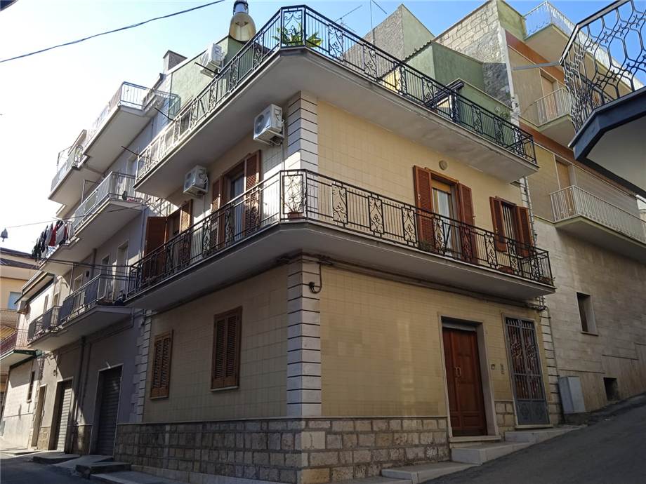 Casa indipendente in affitto a San Nicandro Garganico (FG)