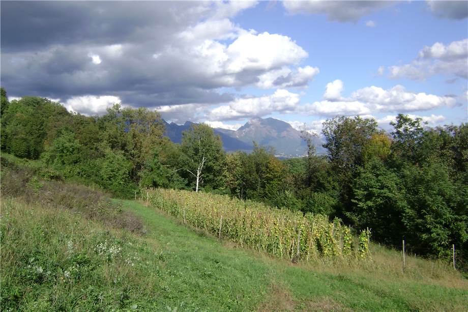Terreno edificabile in vendita a San Gregorio Nelle Alpi (BL)