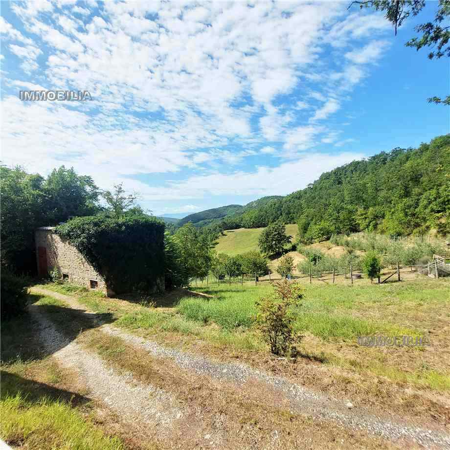 Terreno edificabile in vendita a Pieve Santo Stefano (AR)