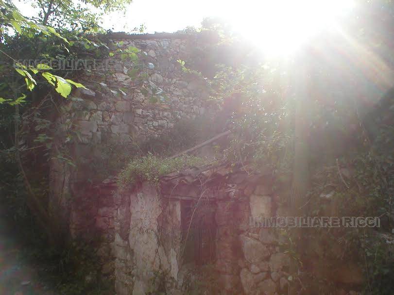 Rural/farmhouse Pastena 54