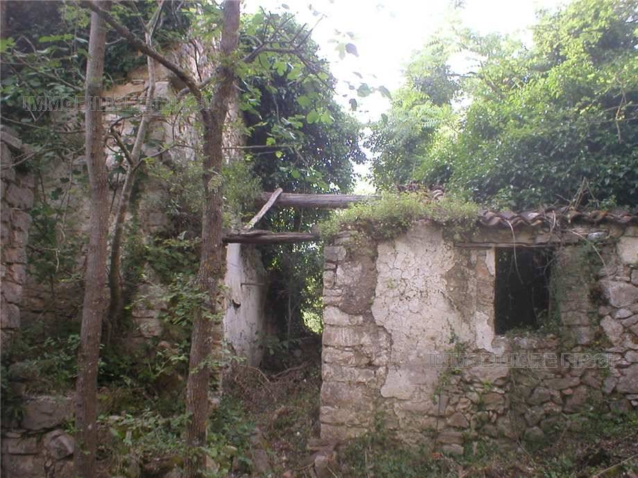 For sale Rural/farmhouse Pastena  #54 n.2