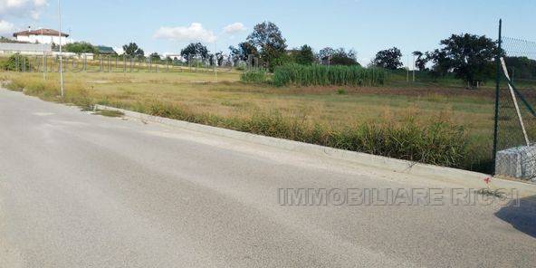 Venta Suelo Pontecorvo  #74 n.4