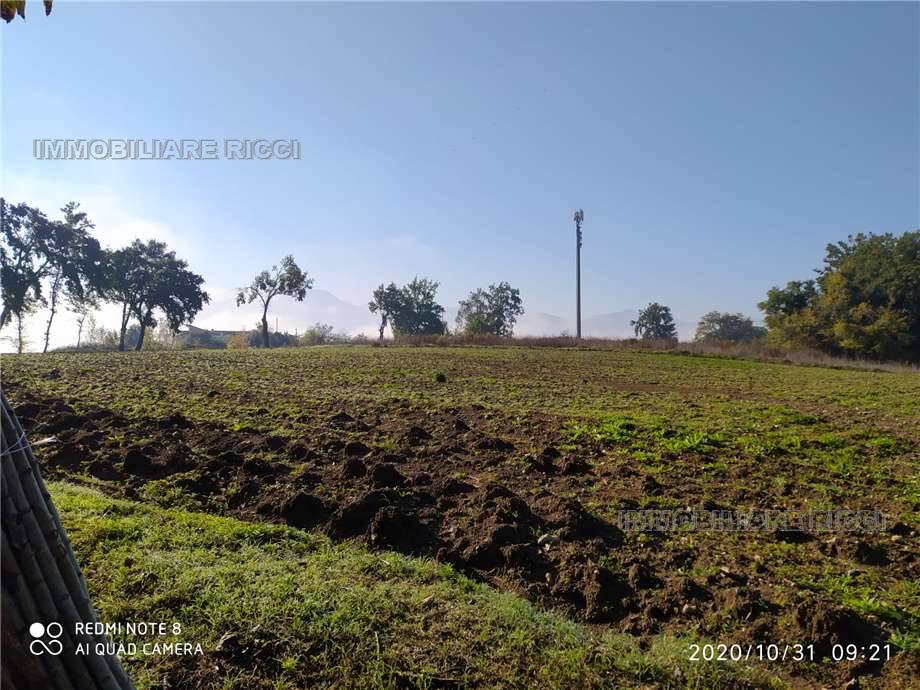 For sale Land Pontecorvo  #89 n.5