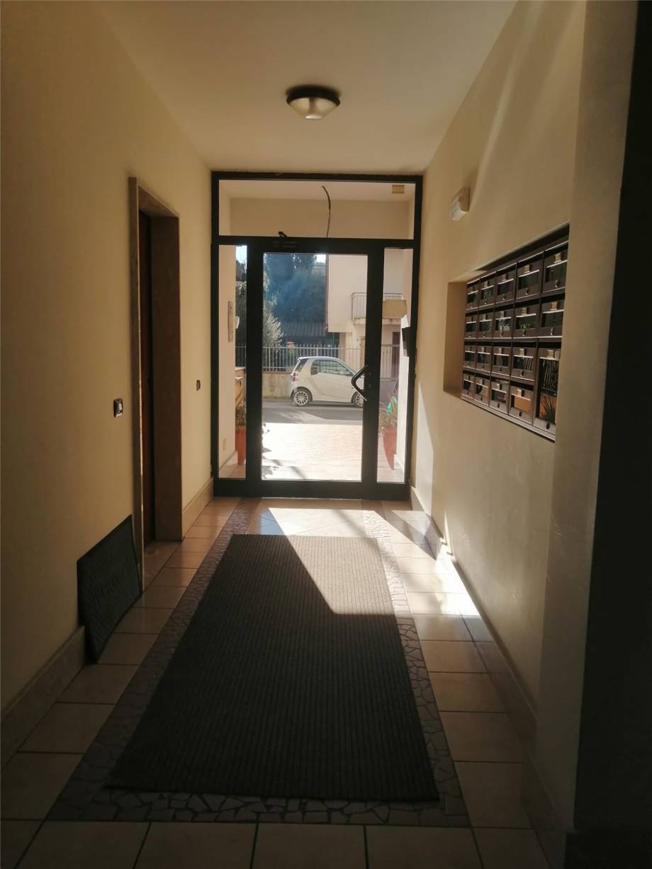 For sale Flat Pontecorvo  #131 n.3