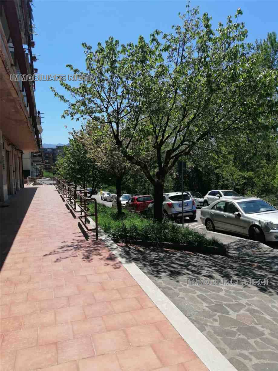Alquiler Otras actividad comerciales Pontecorvo  #146 n.3