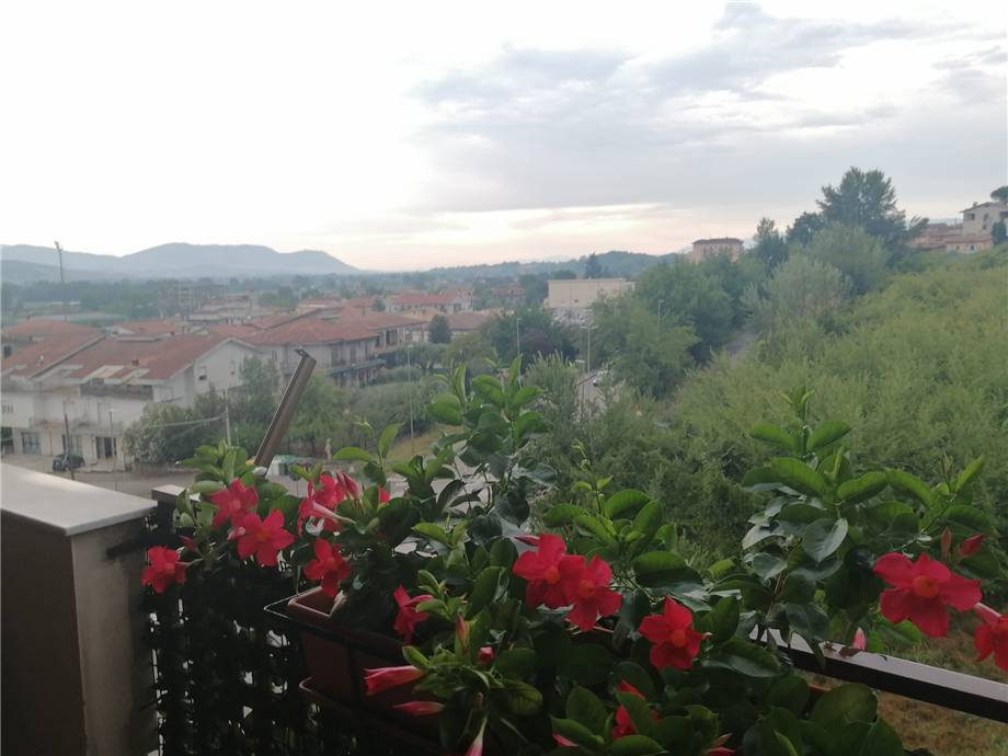 For sale Flat Pontecorvo  #168 n.13
