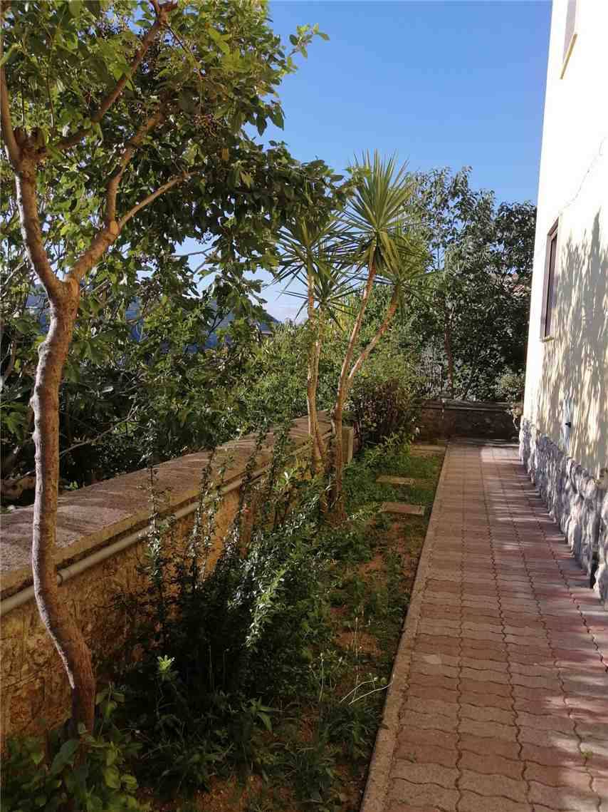 For sale Flat Esperia  #177 n.8