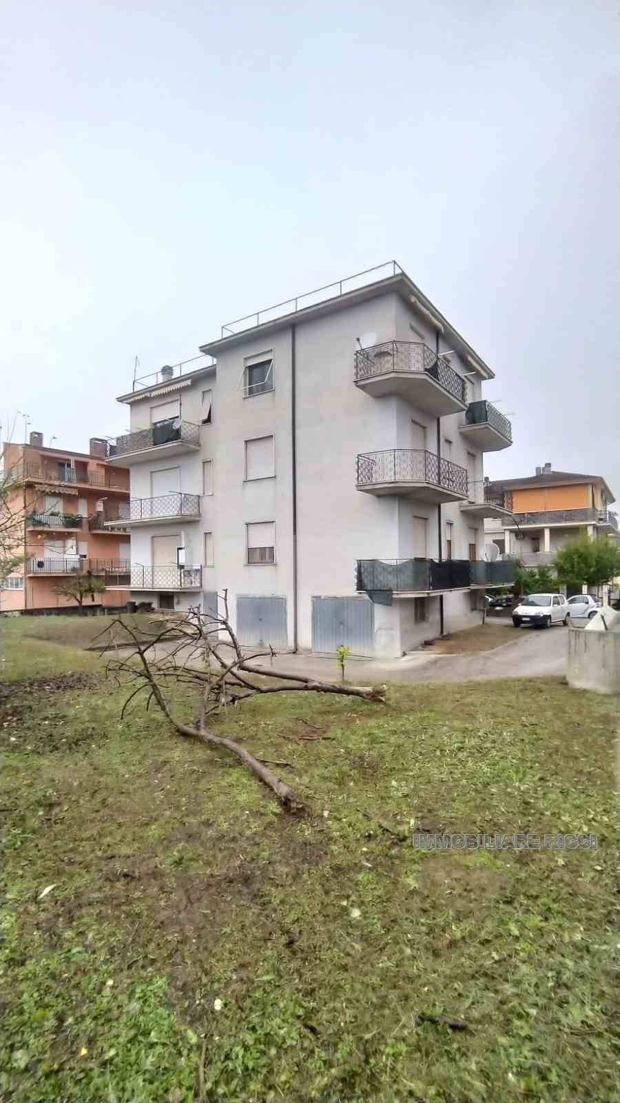 Vendita Appartamento Pontecorvo  #226 n.2