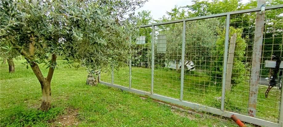 Venta Suelo Pontecorvo  #238 n.3