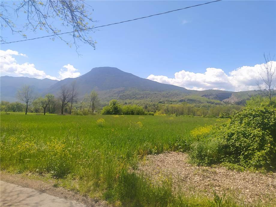 For sale Land Pontecorvo #250 n.2