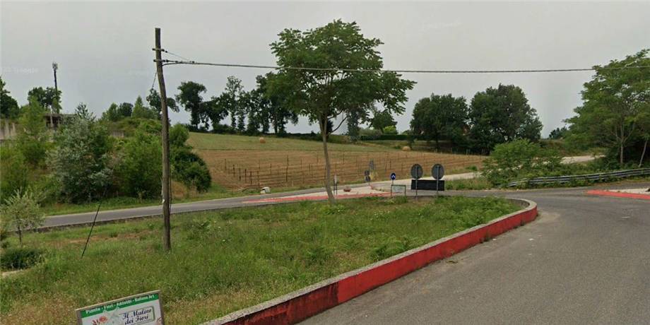 Terreno Pontecorvo 251