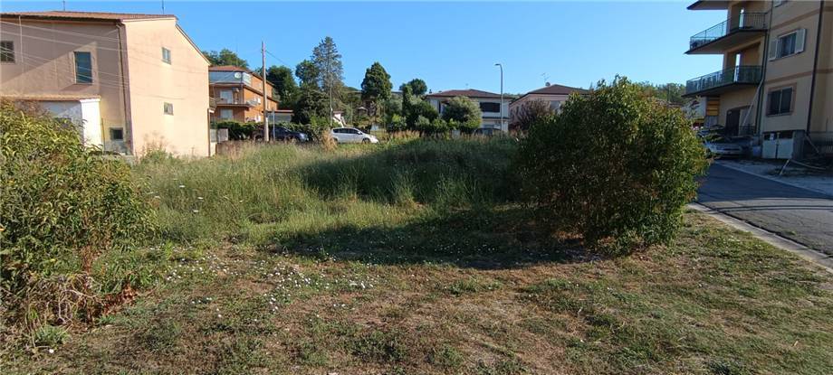 Vendita Terreno Pontecorvo  #252 n.5