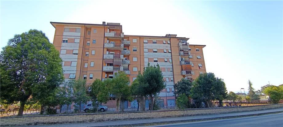 Affitto Appartamento Pontecorvo #261 n.1