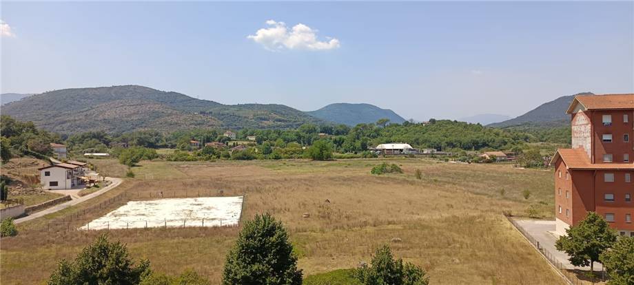 Affitto Appartamento Pontecorvo #261 n.13