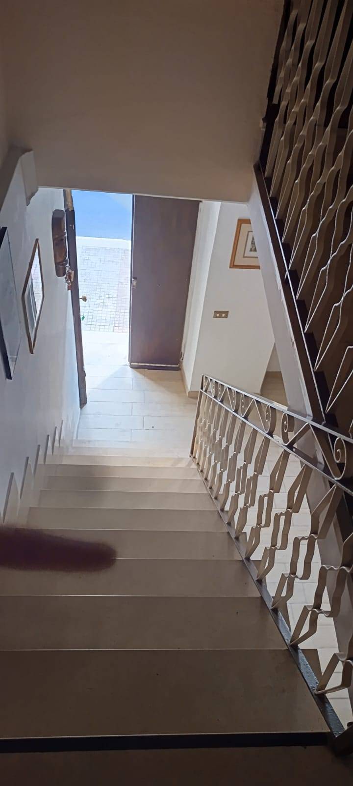 Venta Villa/Casa independiente Pontecorvo  #263 n.7