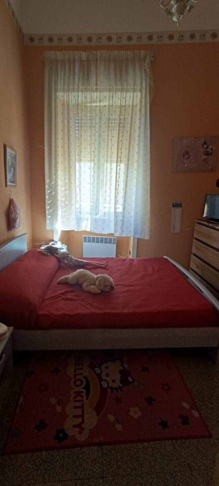 For sale Flat Pontecorvo  #266 n.6