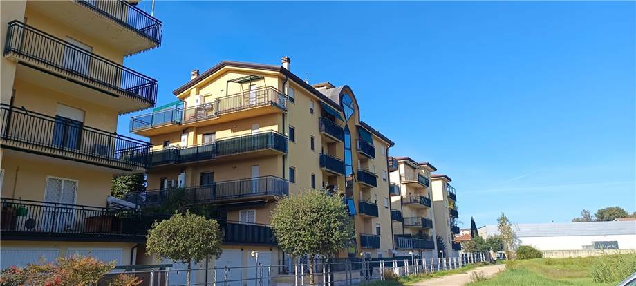 Vendita Appartamento Pontecorvo  #278 n.15