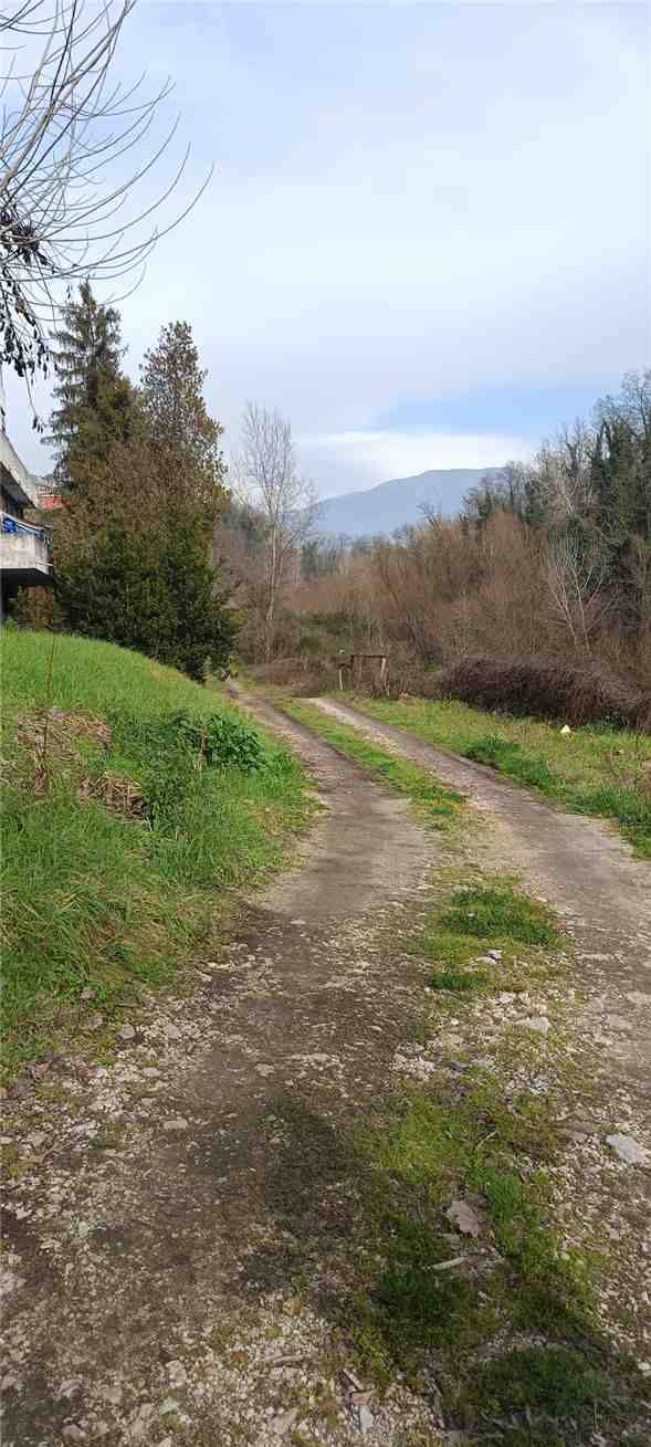 Venta Villa/Casa independiente Pontecorvo  #291 n.14