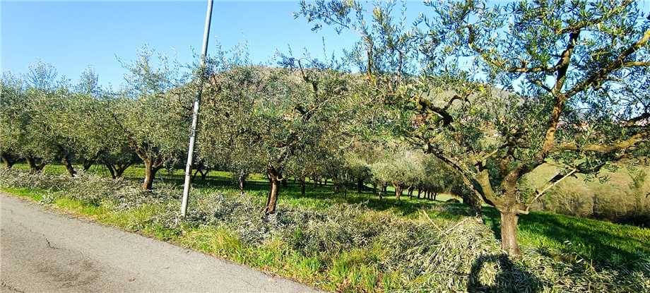Venta Casa de campo San Giovanni Incarico #292 n.7