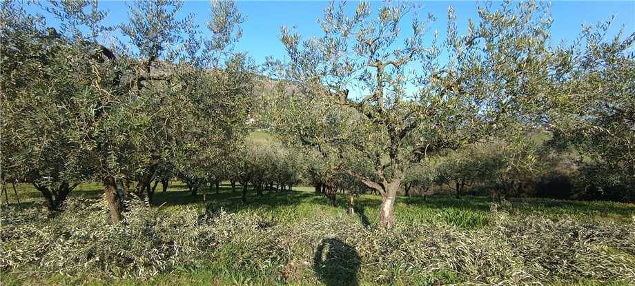 Venta Casa de campo San Giovanni Incarico #292 n.8