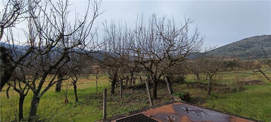 Vendita Rustico/Casale Pico #293 n.13
