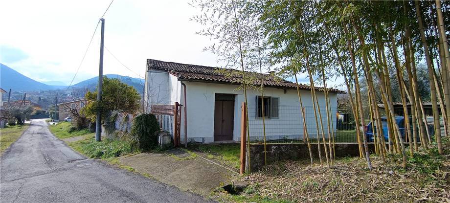Vendita Rustico/Casale Pico #293 n.3