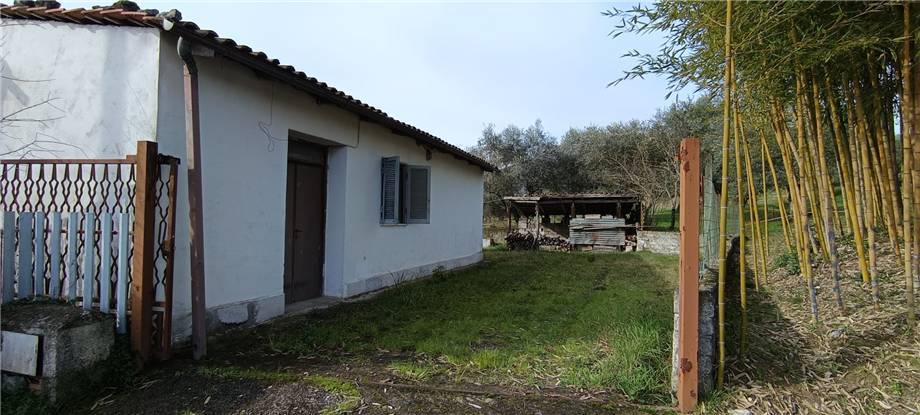 Vendita Rustico/Casale Pico #293 n.4