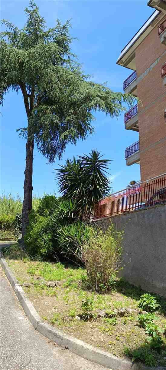 Vendita Appartamento Pontecorvo  #294 n.3