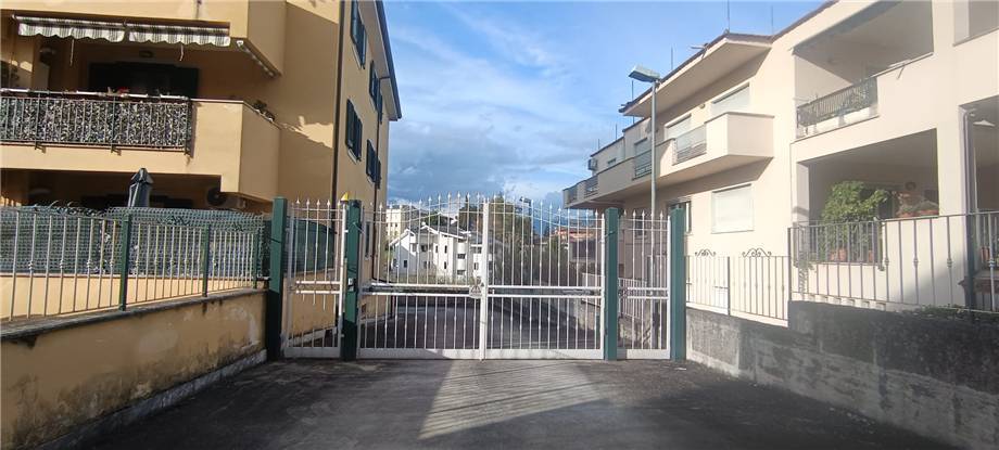 Vendita Appartamento Pontecorvo  #295 n.11