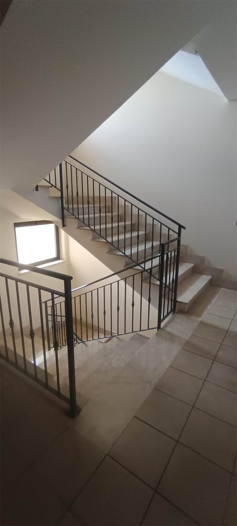 Vendita Appartamento Pontecorvo  #295 n.12