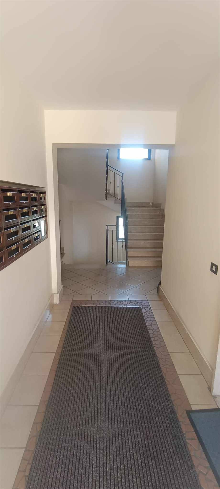 Vendita Appartamento Pontecorvo  #295 n.15