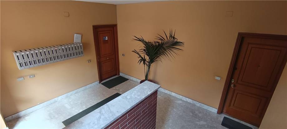 Vendita Appartamento Pontecorvo  #301 n.14