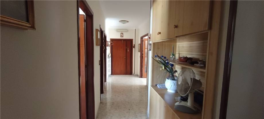 Vendita Appartamento Pontecorvo  #305 n.11