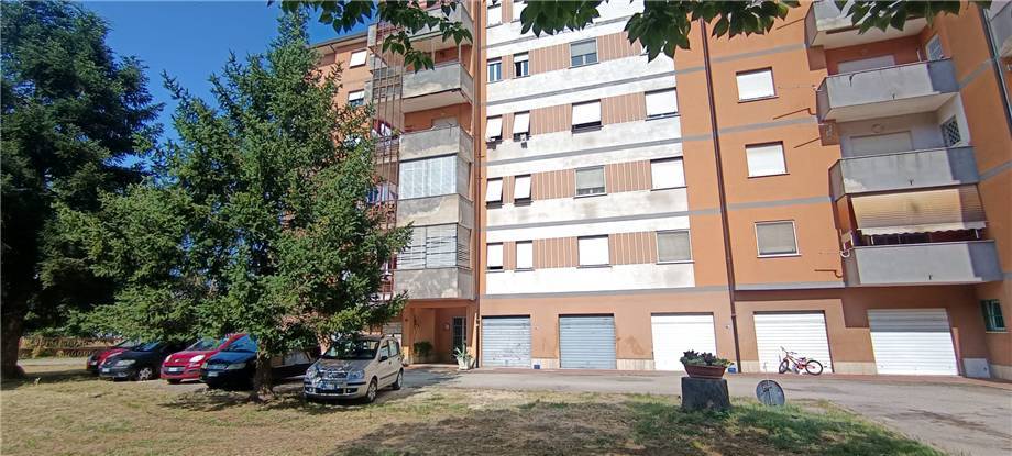 Vendita Appartamento Pontecorvo  #305 n.2