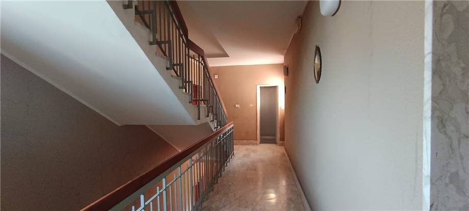 Vendita Appartamento Pontecorvo  #305 n.6