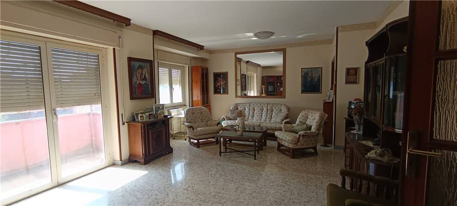 Vendita Appartamento Pontecorvo  #305 n.9