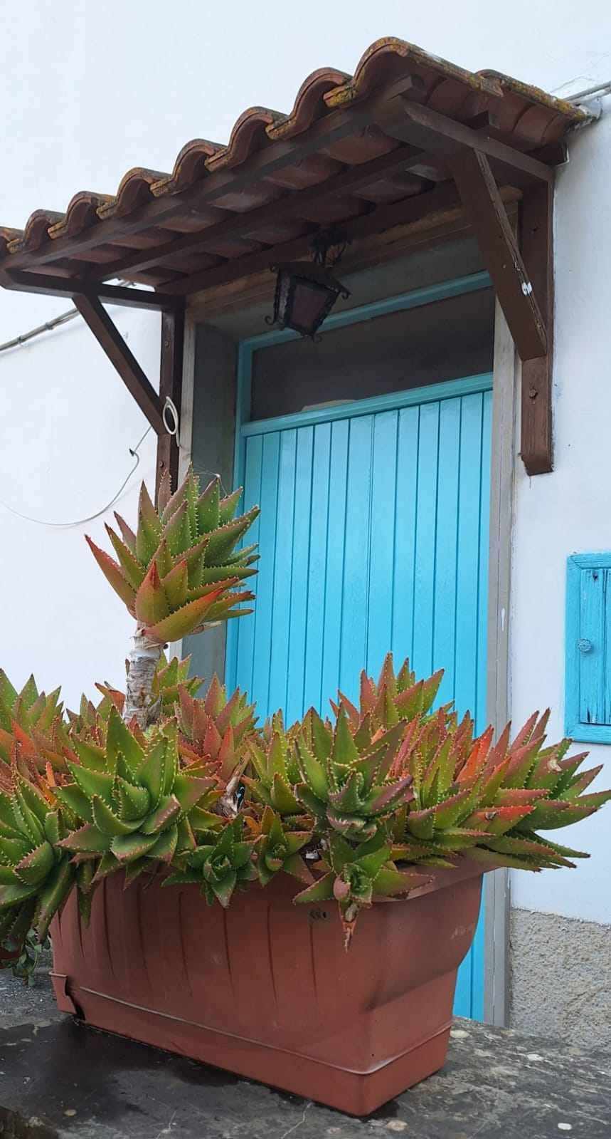 For sale Detached house Pontecorvo  #309 n.2