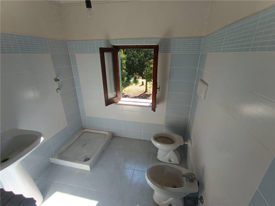 Vendita Villa/Casa singola Pontecorvo  #313 n.11