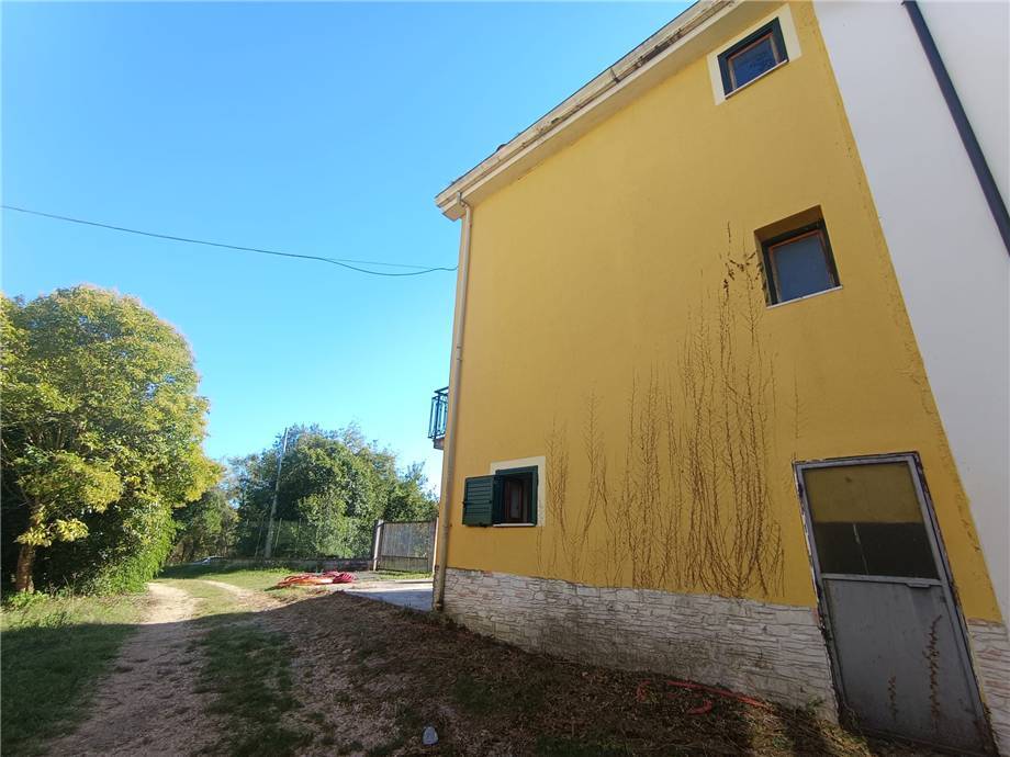 Vendita Villa/Casa singola Pontecorvo  #313 n.14