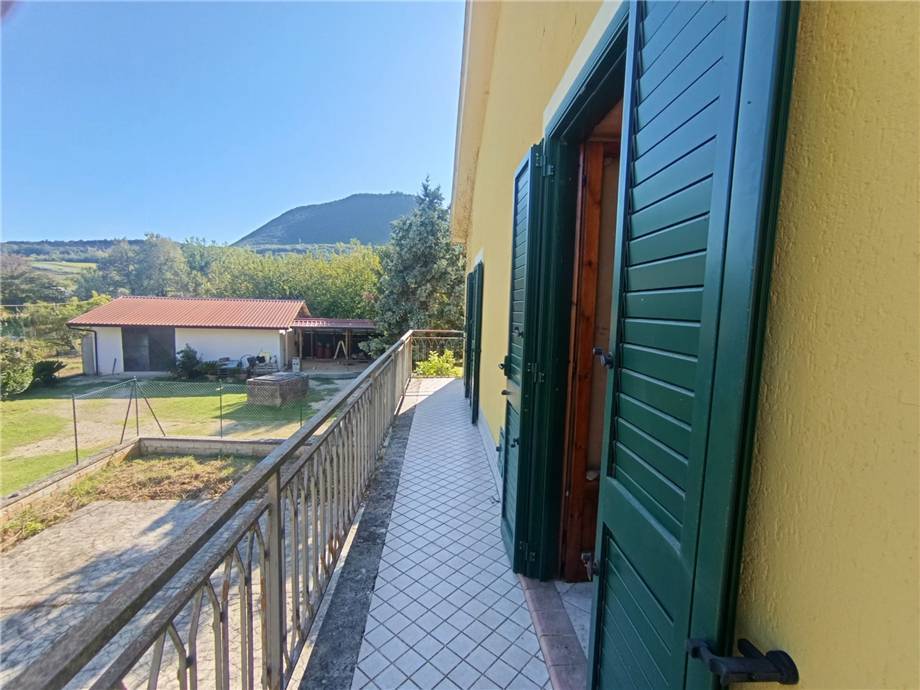 Vendita Villa/Casa singola Pontecorvo  #313 n.15