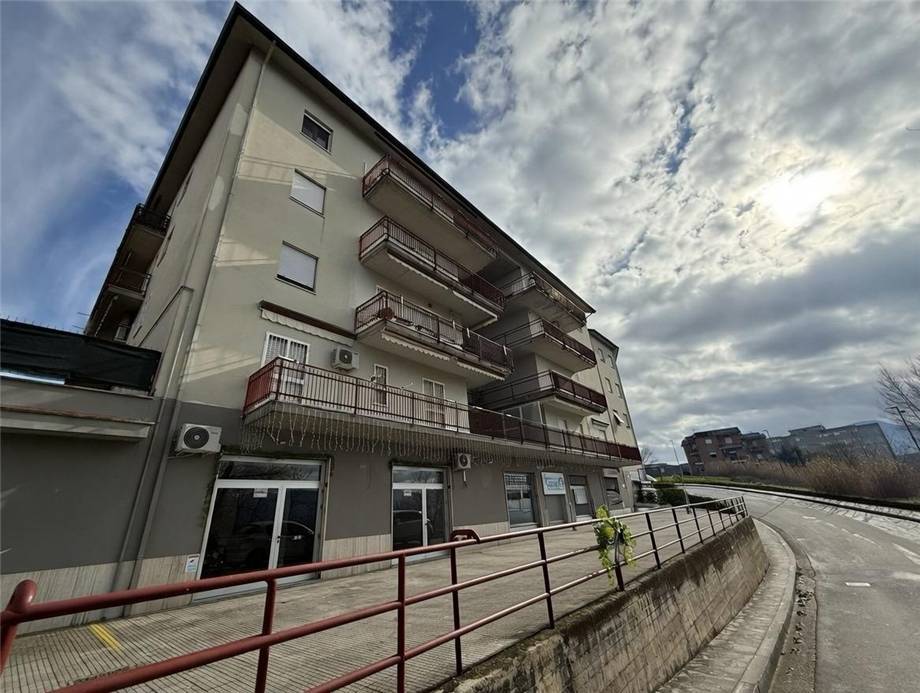 Affitto Ufficio Pontecorvo #318 n.1