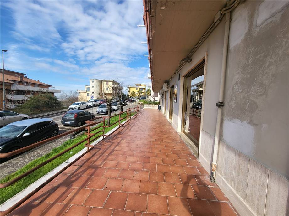 To rent Office Pontecorvo #321 n.5