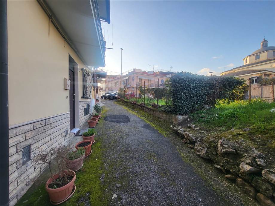 Venta Villa/Casa independiente Pontecorvo  #328 n.3