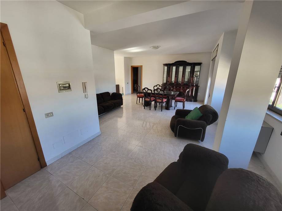 Vendita Appartamento Pontecorvo #334 n.4
