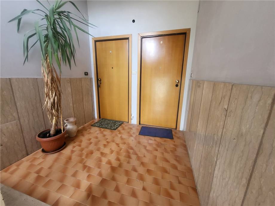 For sale Other Pontecorvo #340 n.11