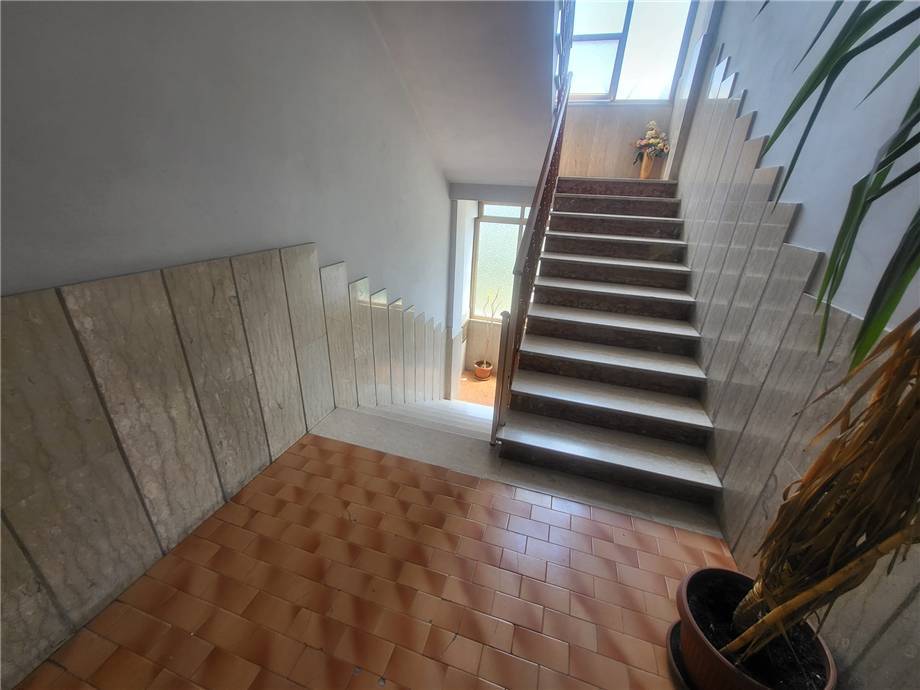 For sale Other Pontecorvo #340 n.12