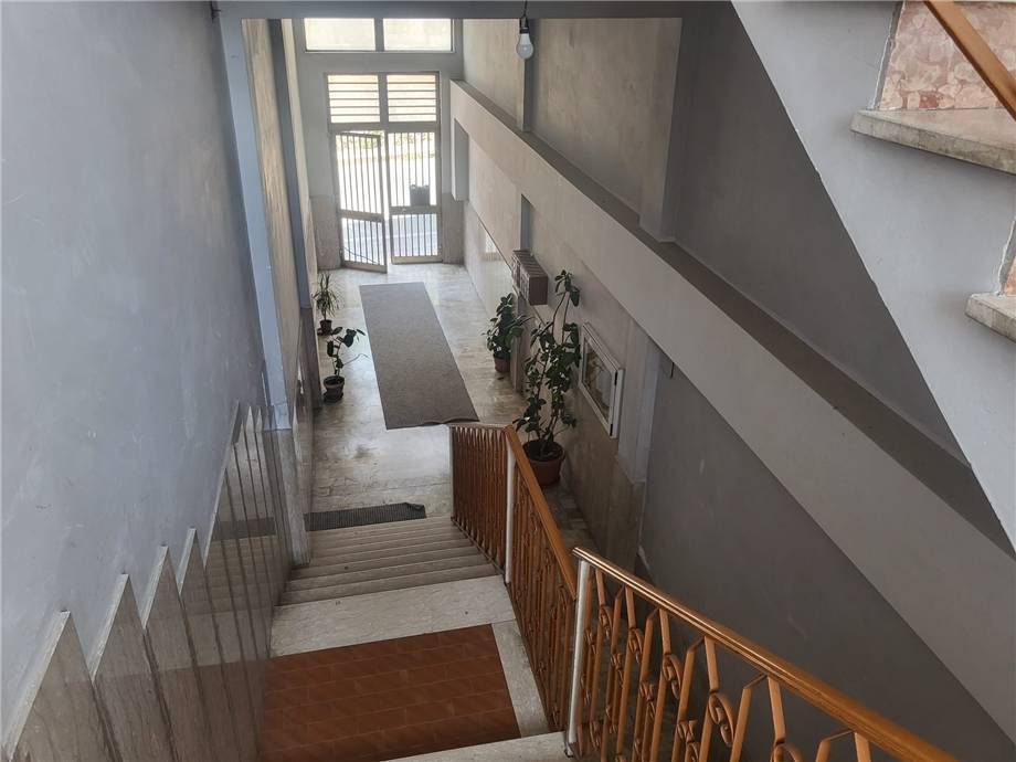 For sale Other Pontecorvo #340 n.13