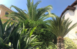 Venta Villa/Casa independiente Sanremo  #0115 n.5
