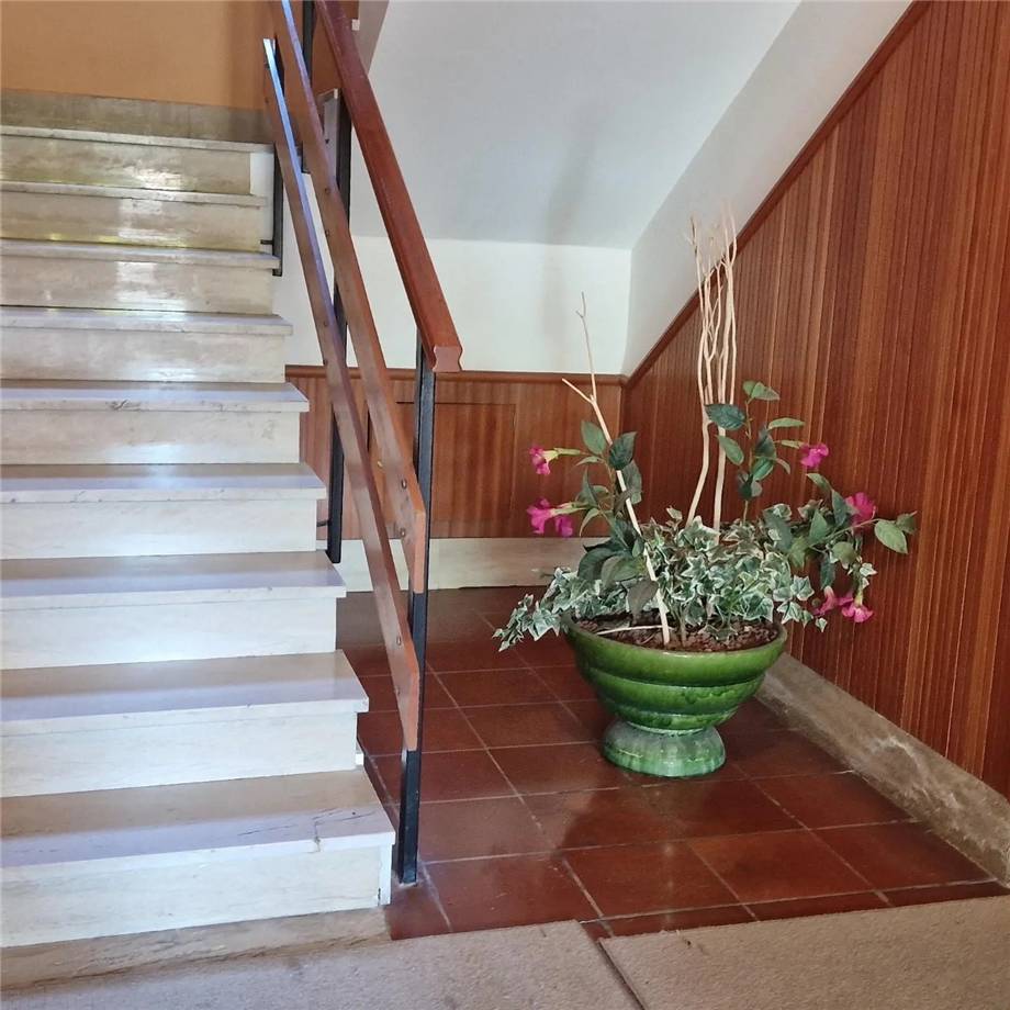 Venta Piso Sanremo  #T1 BOR n.2