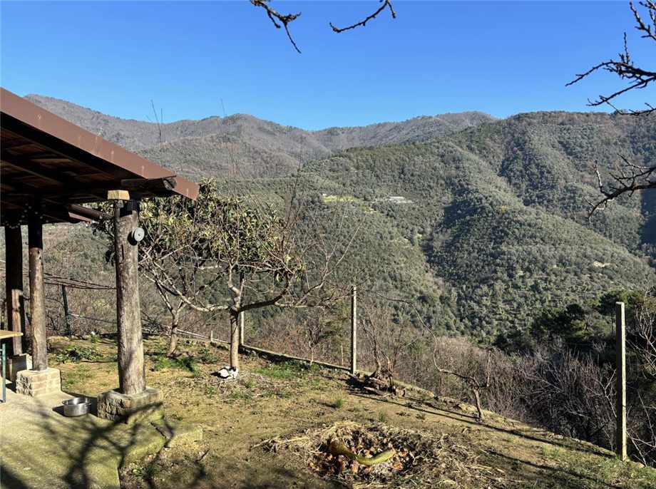 For sale Detached house Ceriana  #V60 n.2